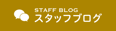 スタッフブログ